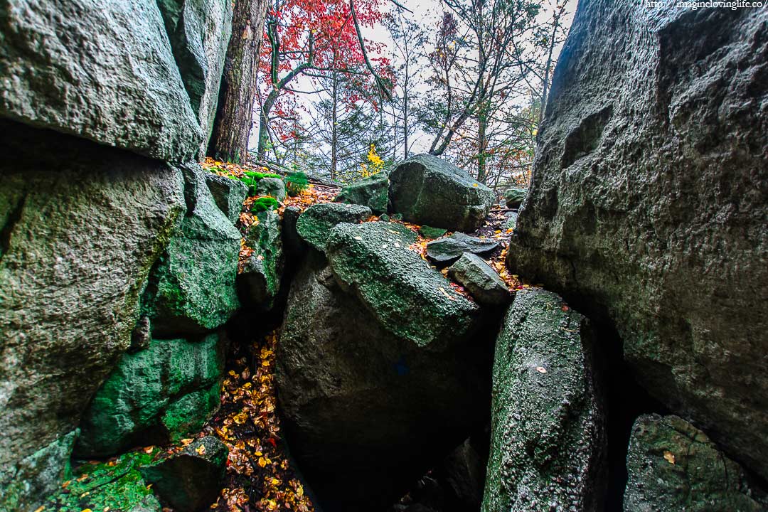 Mohonk Giant Workshop